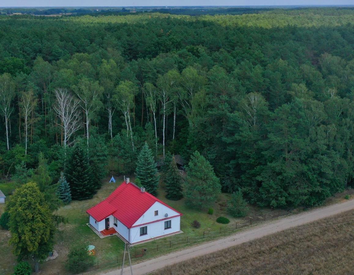 Agroturystyka Leśne Zacisze na Podlasiu Tuczna Zewnętrze zdjęcie